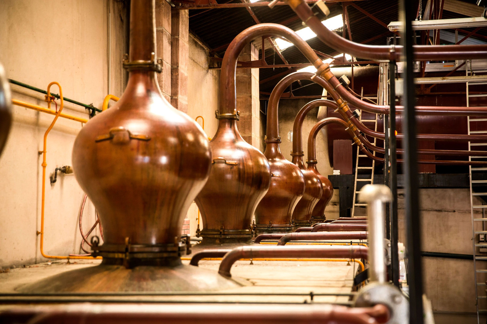 Cognac