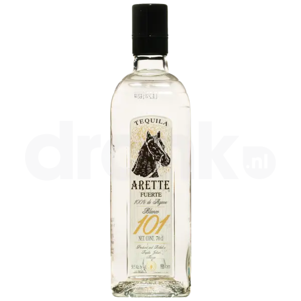 Arette Fuerte